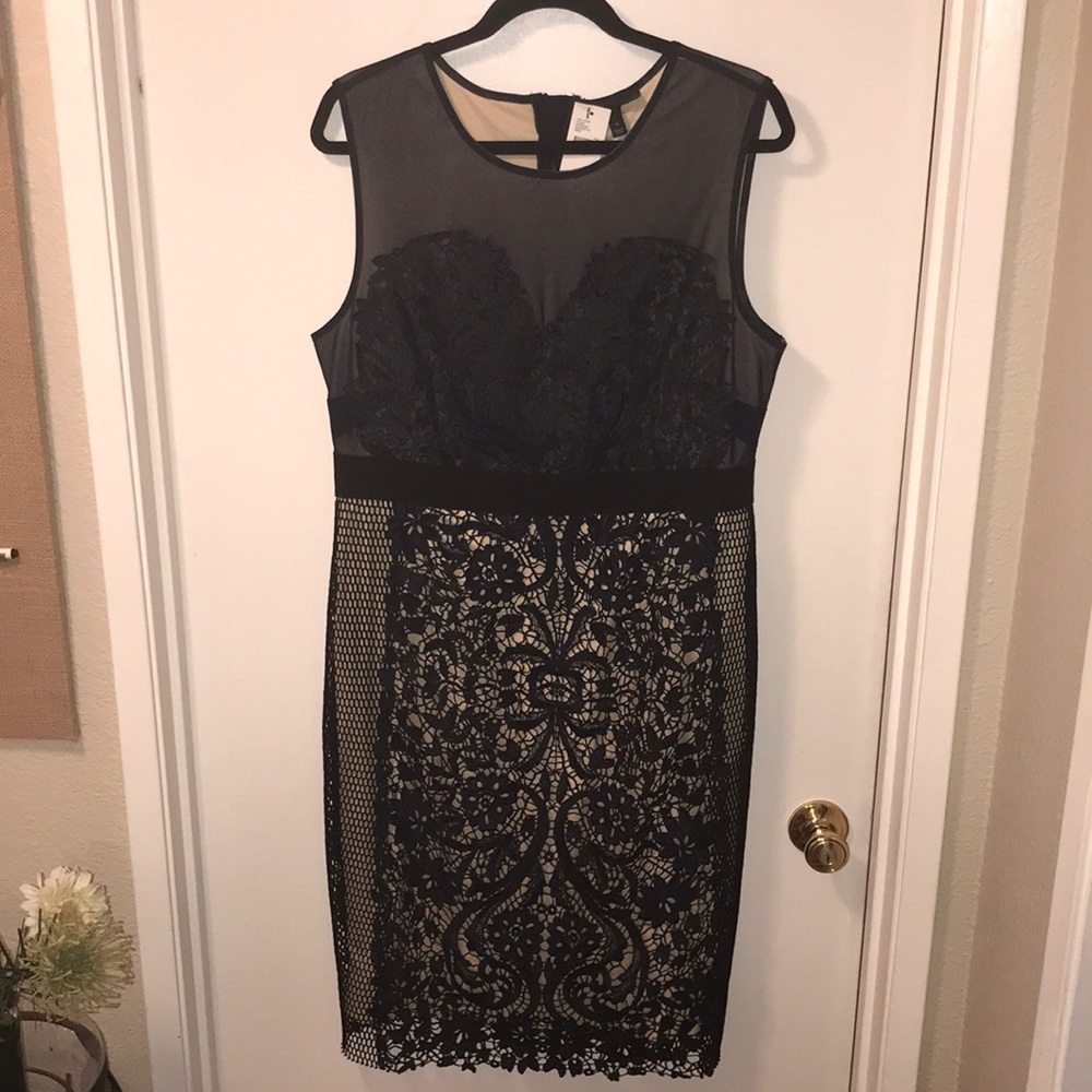 NWT. Lane Bryant dress. Size 16